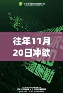 11月20日冲欲最新版,往日时光重现的心灵之旅,自然美景的启迪