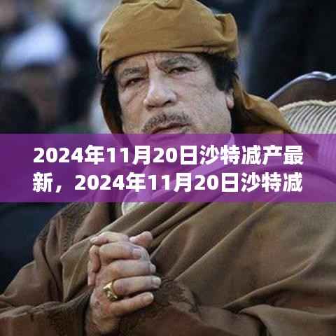 沙特减产最新动态,全球石油市场影响及应对策略(2024年11月20日)