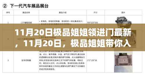 极品姐姐带你入门,最新风尚的魅力