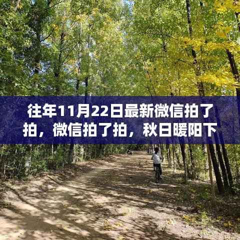 微信拍了拍,秋日暖阳下的温情瞬间记录