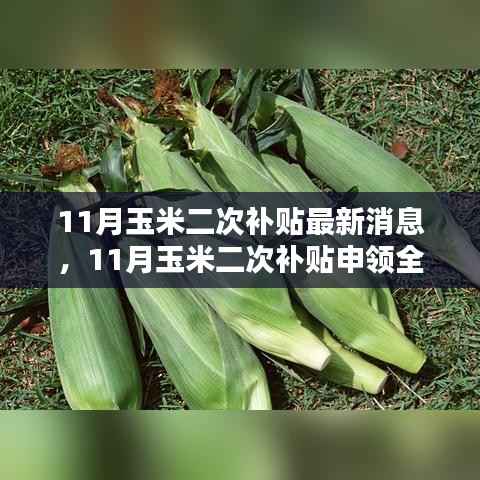 11月玉米二次补贴最新消息,11月玉米二次补贴申领全攻略,一步步教你如何申请最新补贴