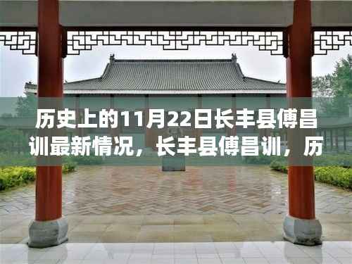 长丰县傅昌训,历史回响与最新进展回顾