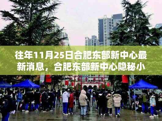 合肥东部新中心隐秘小巷的特色风情,一家小店的奇遇记揭秘最新消息