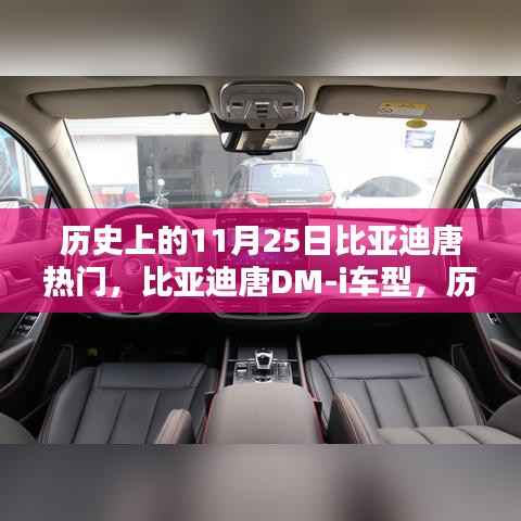 历史上的热门之选,比亚迪唐DM-i车型的综合评测与回顾——聚焦11月25日焦点时刻