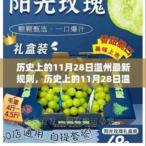 历史上的11月28日温州新规则详解,掌握新技能的步骤指南
