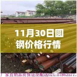 11月30日圆钢价格行情深度解析,热门报价、特性、用户体验与竞品对比