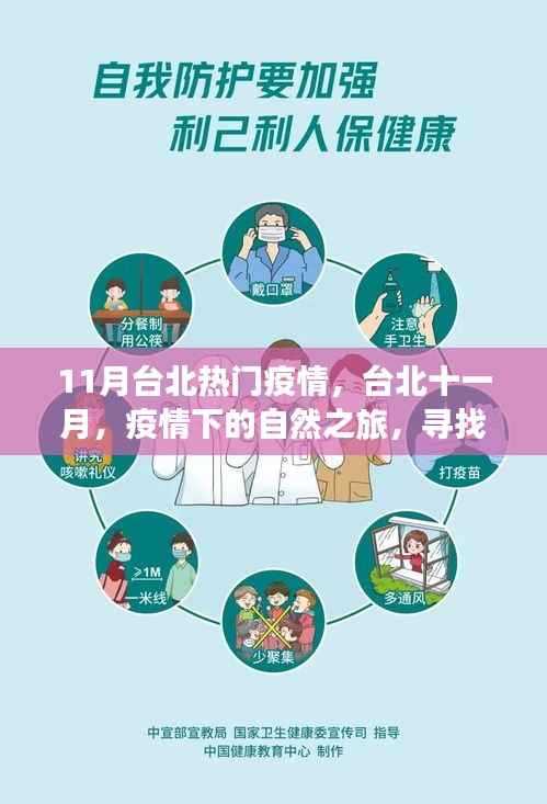 台北十一月疫情下的自然探索,寻求内心宁静与力量的旅程