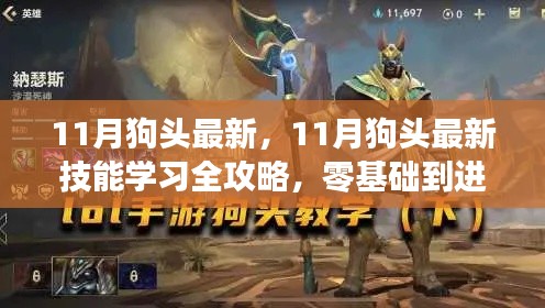 11月狗头最新技能学习全攻略,从零基础到进阶操作指南