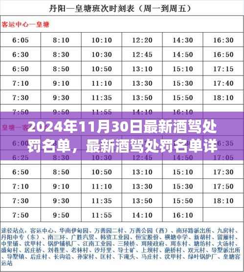 2024年最新酒驾处罚名单详解及应对指南,初学者与进阶用户必读