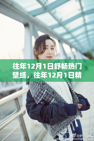 往年12月1日舒畅壁纸精选,温馨桌面新风尚打造指南