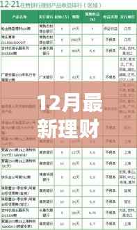 探秘特色小店理财宝藏,12月最新理财产品排行榜及小巷深处的理财新纪元。