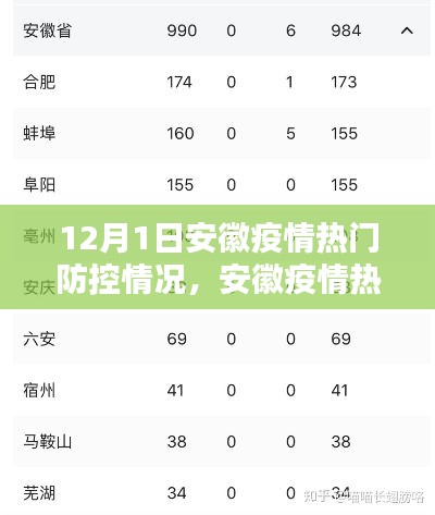 安徽疫情热门防控情况详解，初学者与进阶用户适用的步骤指南（12月1日更新）