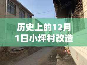历史上的今天,小坪村改造日,见证温馨记忆与坚固友情的时刻