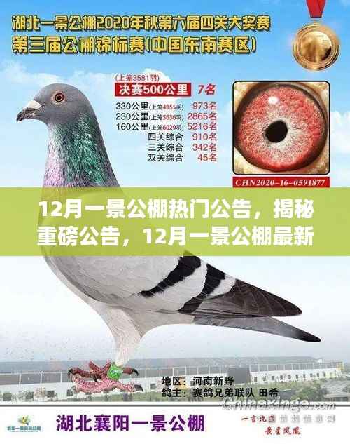 揭秘重磅公告,12月一景公棚最新科技公棚产品引领未来生活革新体验