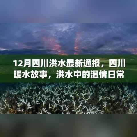 四川洪水温情纪实,暖水故事中的友情闪耀与日常温情