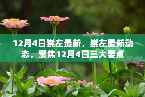 聚焦崇左最新动态,12月4日三大要点解读