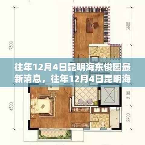 往年12月4日昆明海东俊园最新消息与动态概览