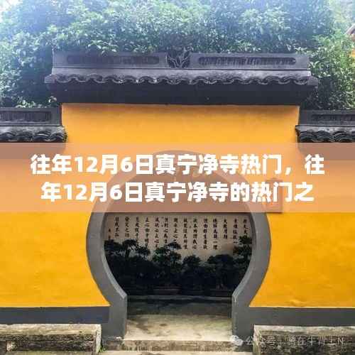 往年12月6日真宁净寺之旅,历史、文化与宗教的热门体验