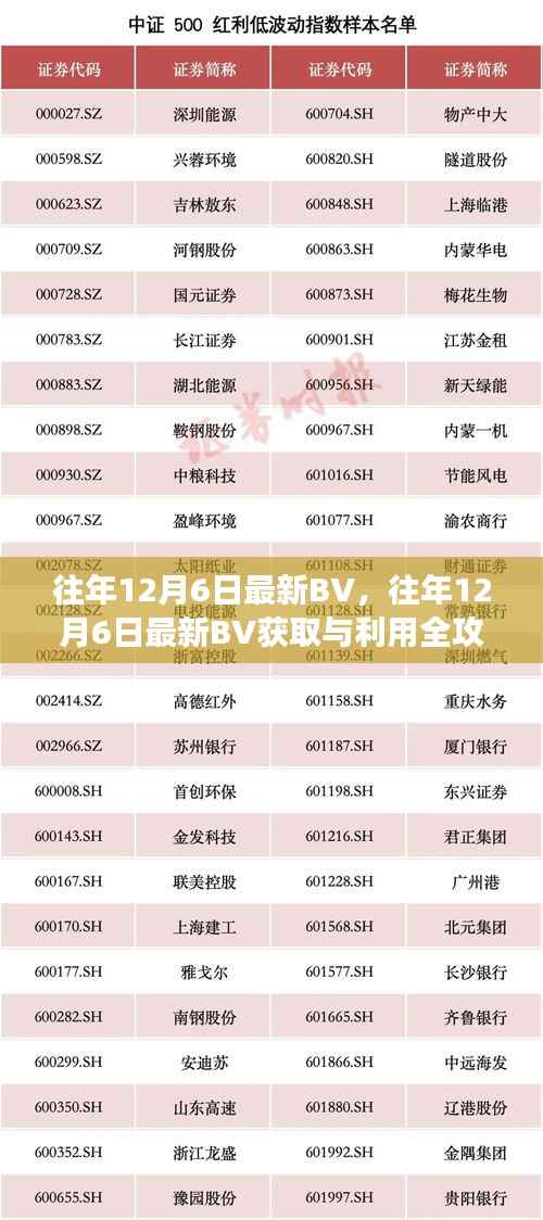 往年12月6日最新BV获取与利用全攻略,从入门到进阶的操作指南