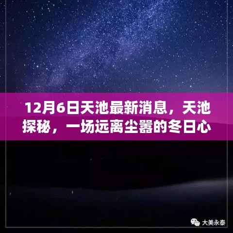 风驰电掣 第3页