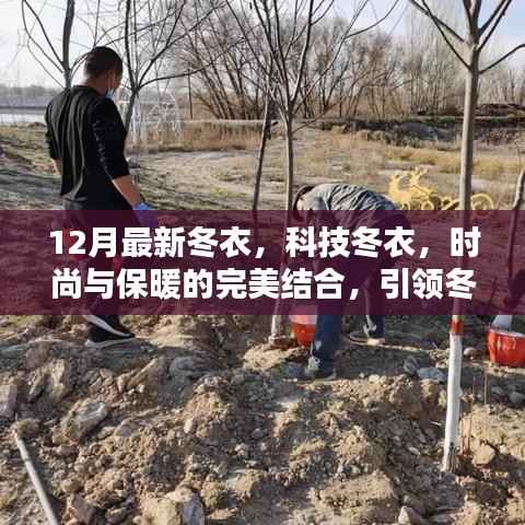 12月最新冬衣,科技冬衣,时尚与保暖的完美结合,引领冬季新风尚