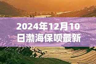 渤海秘境探秘，渤海保呗最新版的独特小店之旅（2024年12月版）