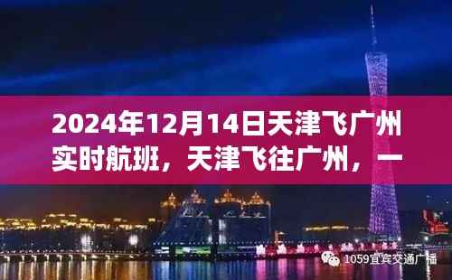 天津飞往广州的爱的航班上的暖心故事,2024年12月14日实时更新
