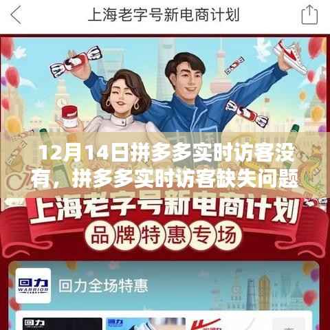 拼多多实时访客缺失问题解析与解决指南(适用于初学者及进阶用户,日期,12月14日)