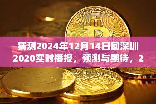 2024年归途深圳,实时播报与期待