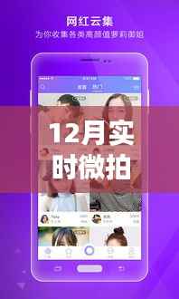 12月实时微拍,捕捉冬日美好,记录生活温暖瞬间