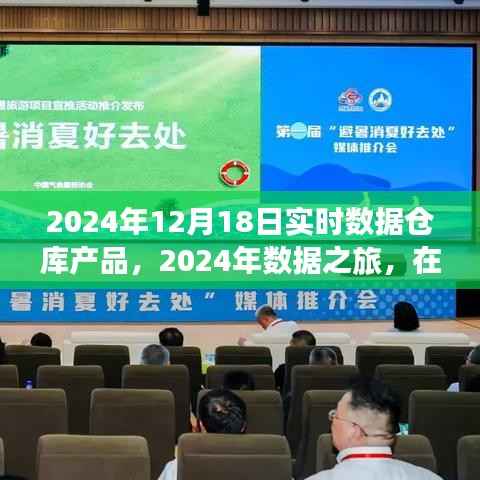 实时数据仓库与自然美景交融,探寻内心平静之道