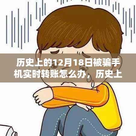 历史上的12月18日，手机实时转账被骗应对策略探讨