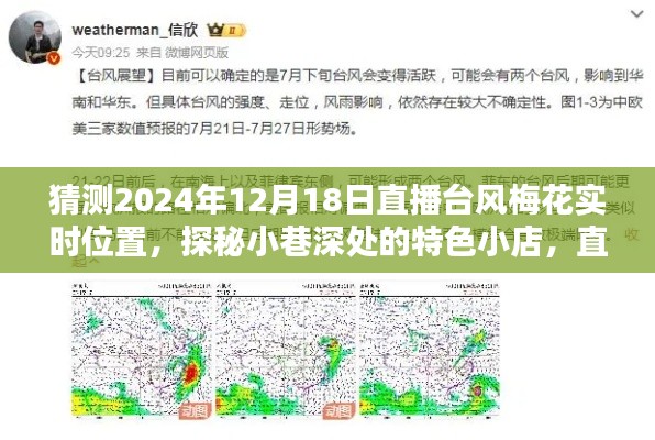 直播台风梅花探秘小巷美食,预测美味邂逅与台风实时位置