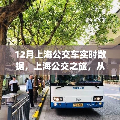 上海公交实时数据之旅,探寻城市深处的自然脉动