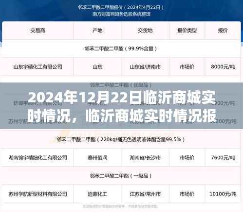 聚焦临沂商城实时动态，2024年12月22日的商贸繁荣盛况