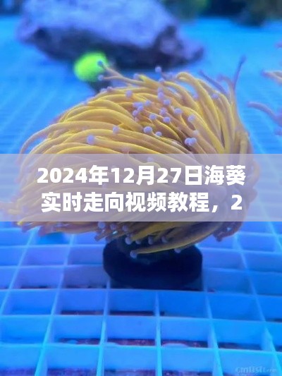 掌握海洋动态,海葵实时走向视频教程,2024年12月27日最新更新
