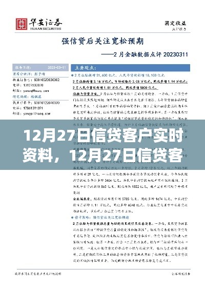 12月27日信贷客户实时资料深度解析,背景、事件与影响全解析