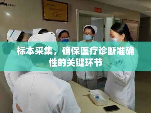 标本采集,确保医疗诊断准确性的关键环节