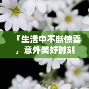 『生活中不断惊喜,意外美好时刻』