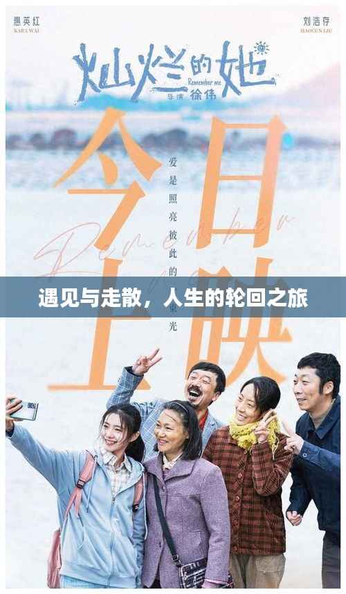 遇见与走散,人生的轮回之旅