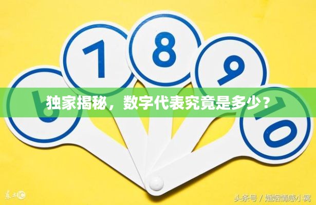 独家揭秘,数字代表究竟是多少?