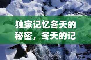 独家记忆冬天的秘密,冬天的记忆阅读
