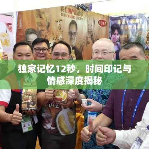 独家记忆12秒,时间印记与情感深度揭秘