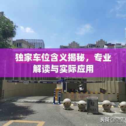 独家车位含义揭秘,专业解读与实际应用