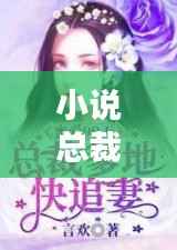 小说总裁独家私宠,独家宠婚,总裁的甜宠妻