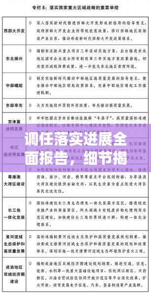 调任落实进展全面报告,细节揭秘,进度一目了然!