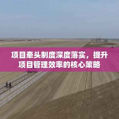 项目牵头制度深度落实,提升项目管理效率的核心策略