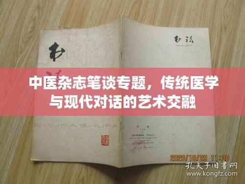 中医杂志笔谈专题,传统医学与现代对话的艺术交融
