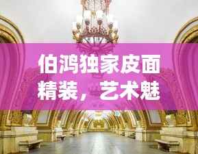 伯鸿独家皮面精装,艺术魅力的独特展现