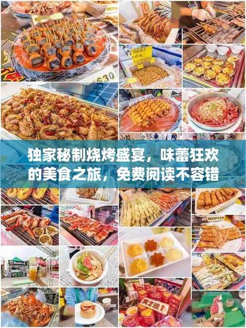 独家秘制烧烤盛宴,味蕾狂欢的美食之旅,免费阅读不容错过!